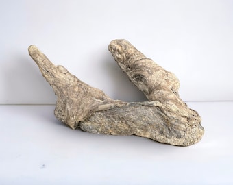 Freshwater Driftwood. Terrarium Aquarium Wood