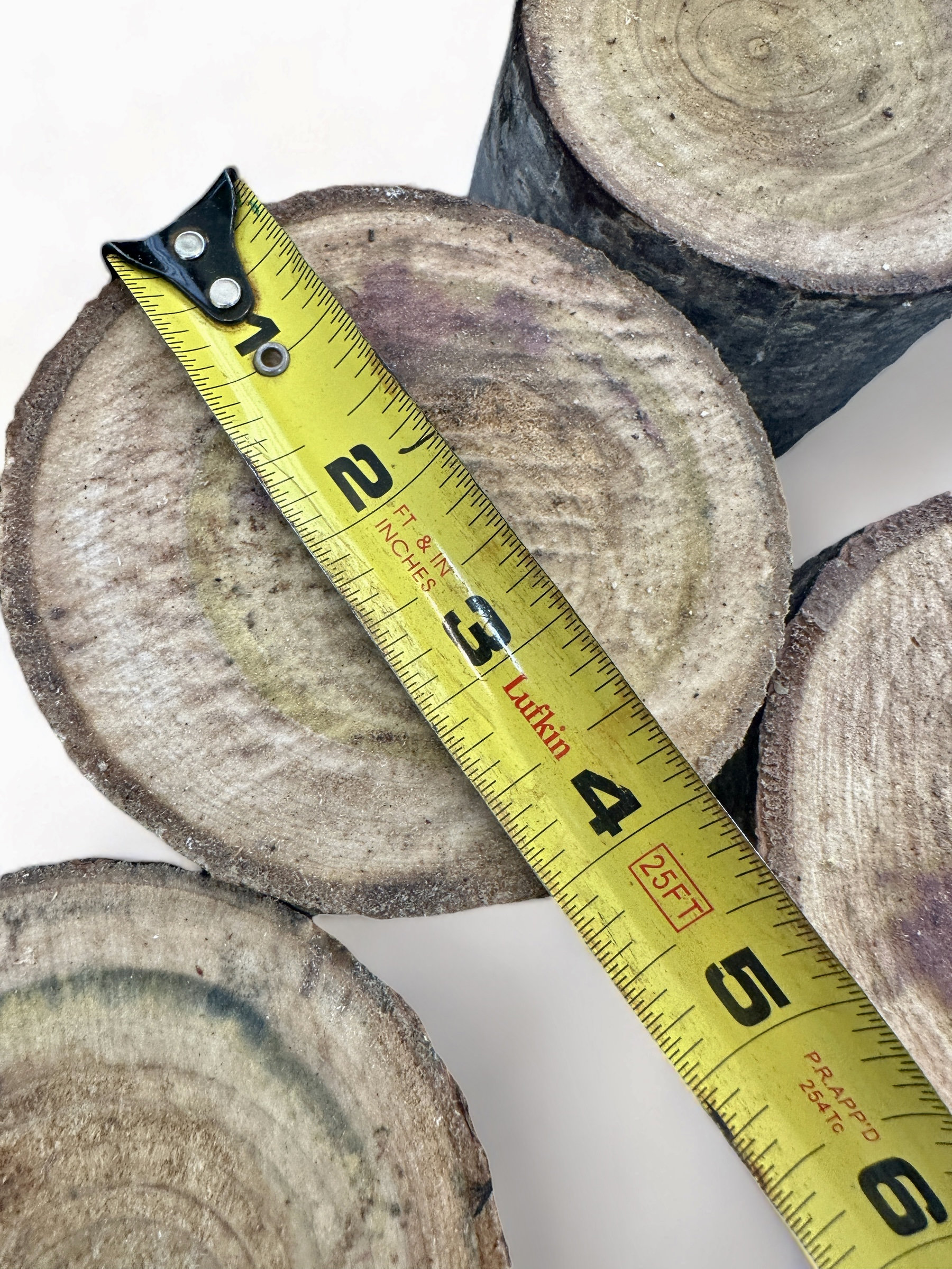 Poplar Logs Raw Logs Tulip Poplar Wood Etsy