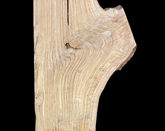 Oak Wood Slab. Crotch Cut