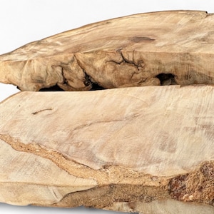 Burl Wood Cutoffs Beech Burls