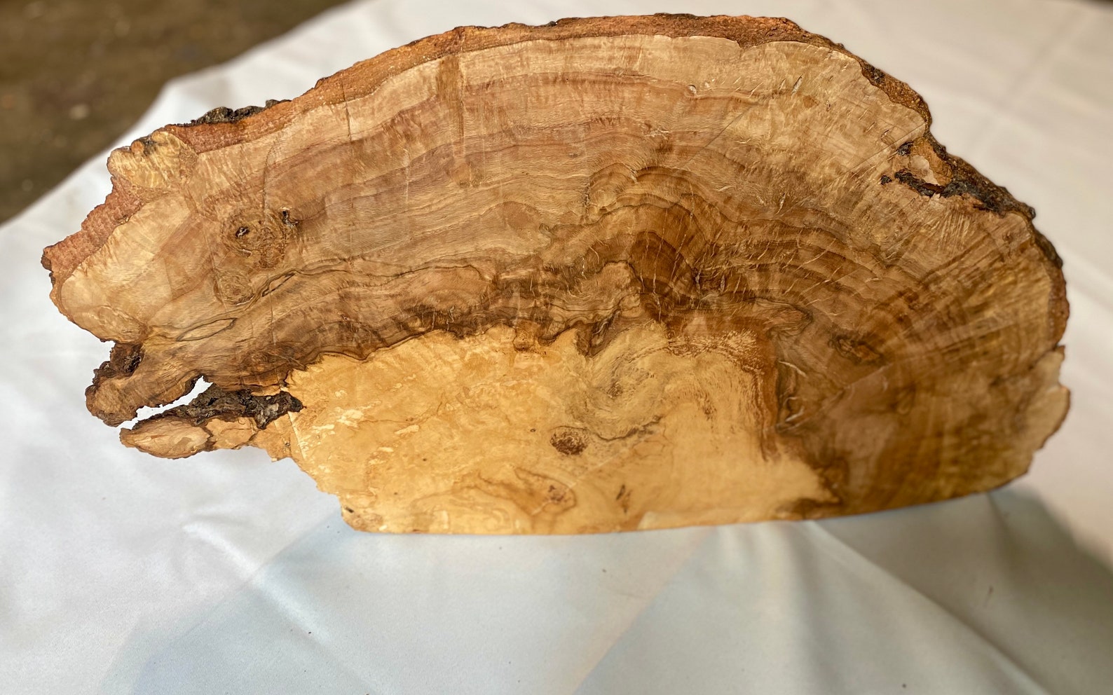 Red Oak Burl slab. Bowl Blank 18 lbs. solid piece Etsy