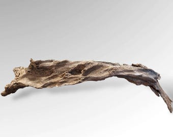 Weathered Driftwood Root Long