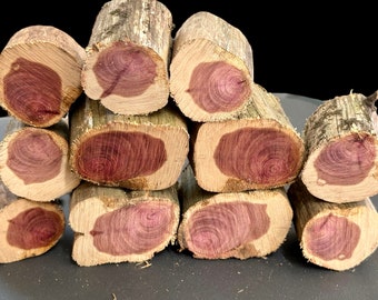 Thick Cedar Tree Slices. Miniature Logs