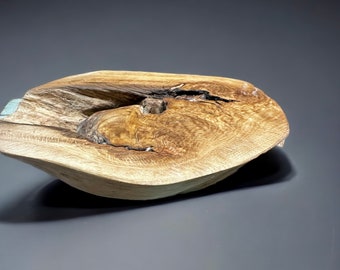 Oak Tree Knot Burl