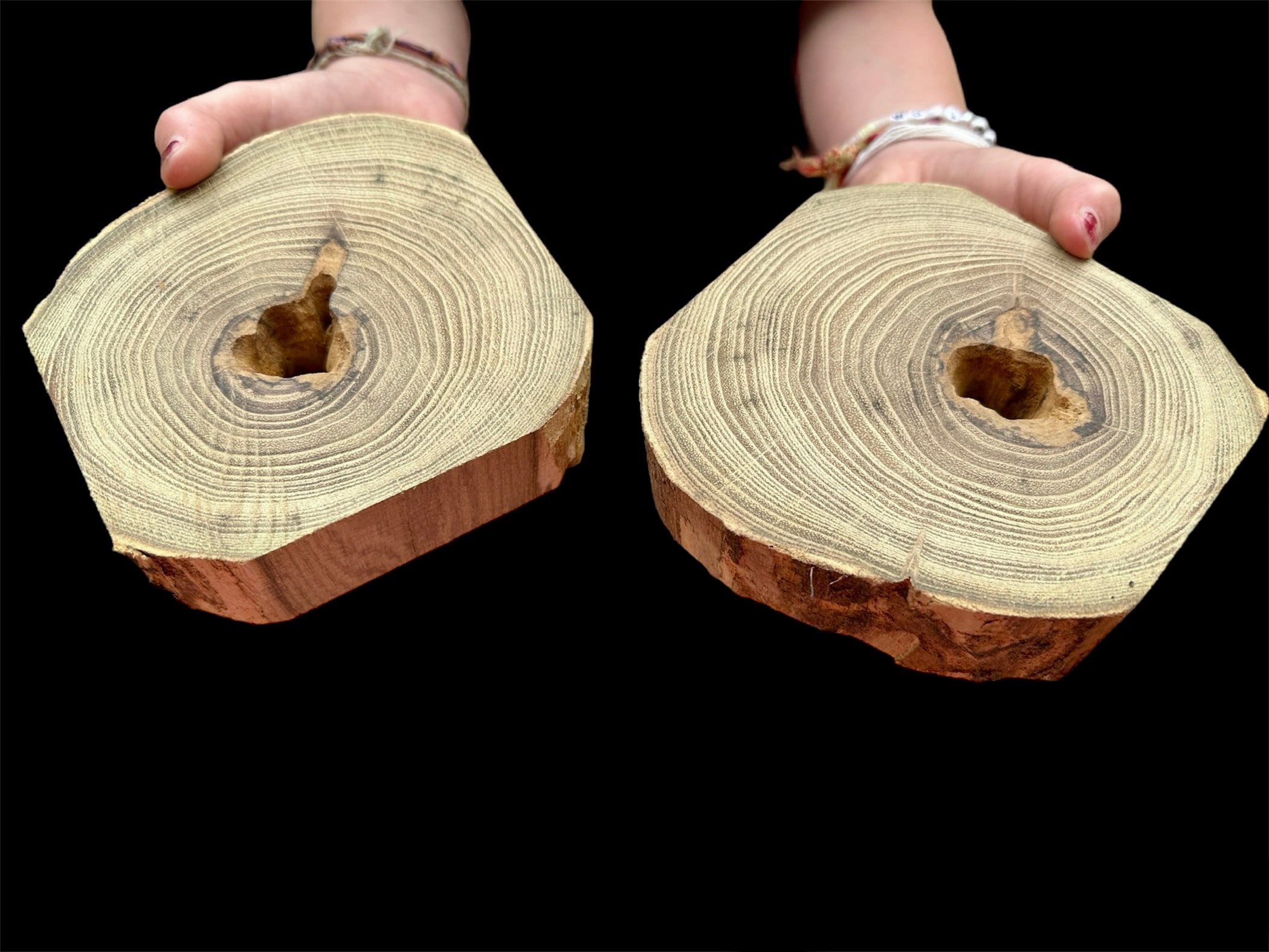 Tree Slices | Wood Rounds for Crafting | Black Locust | DIY Wood Art