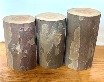 Mini Logs 3 Piece set Sycamore Logs