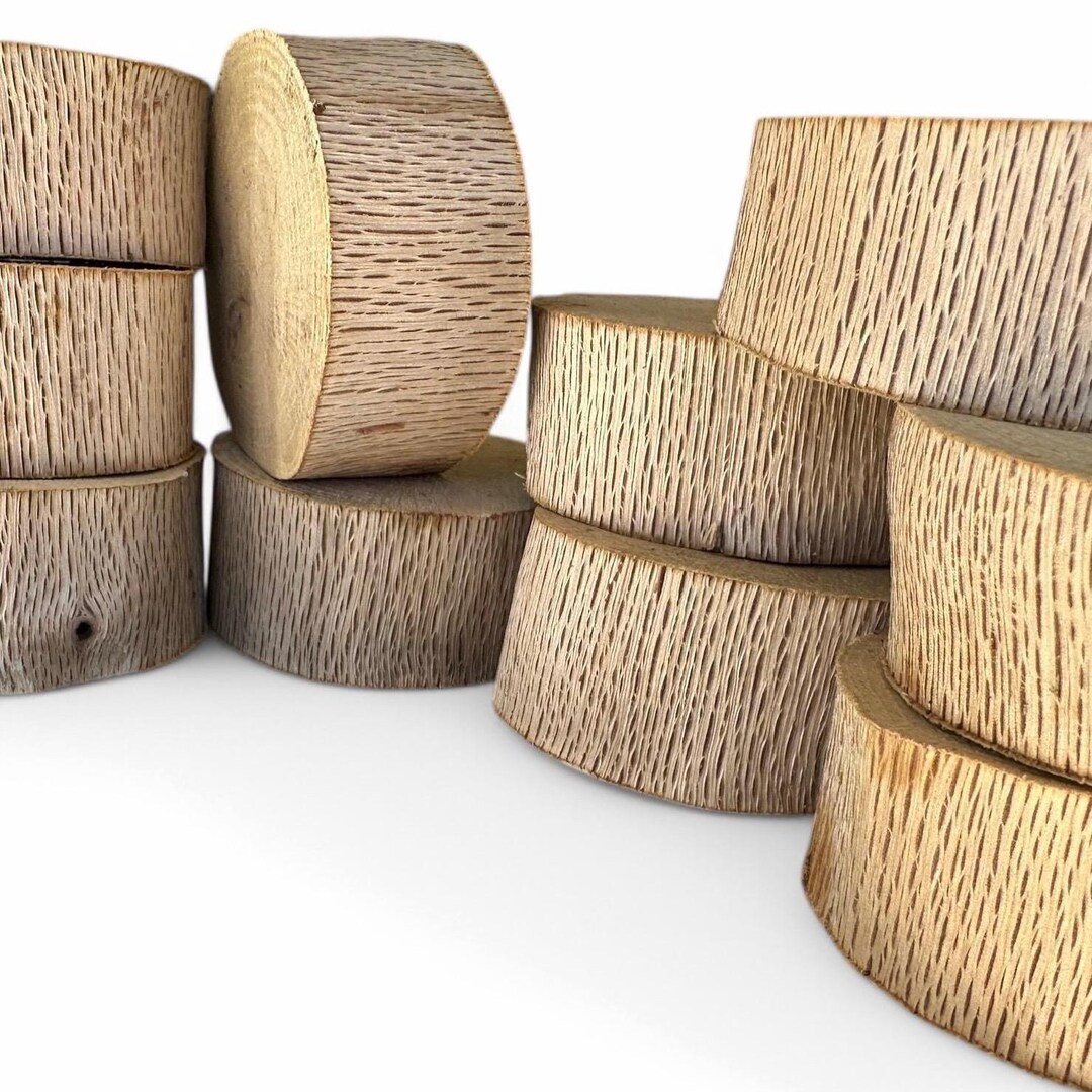 Willow Oak Wood Rounds 3 Inch Tree Slices - Etsy