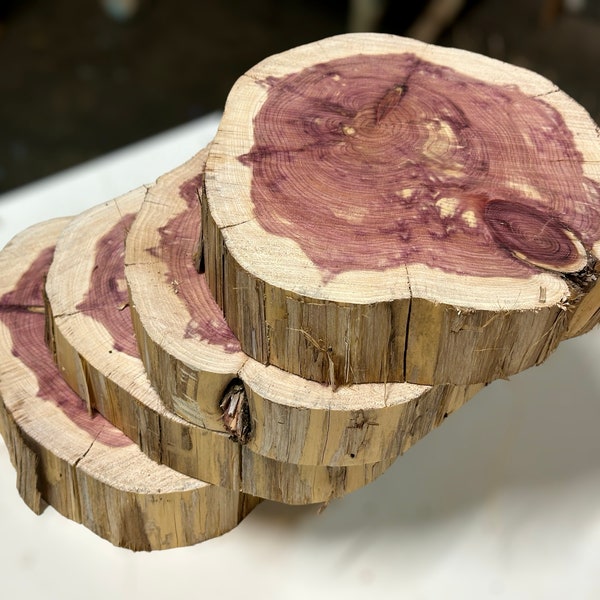 Cedar Round Tree Slices  9”x 2”