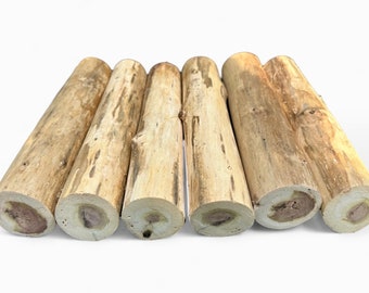 Tulip Poplar Craft Logs: Woodworking Branch Pieces (11”x 2”)