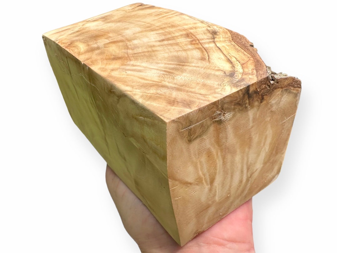 Beech Burl Wood Chunk - Etsy