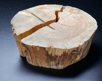 Blue Pine Cracked Stump Log
