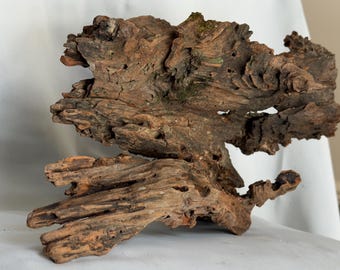Natural Driftwood for Planters Terrariums Tanks and Art