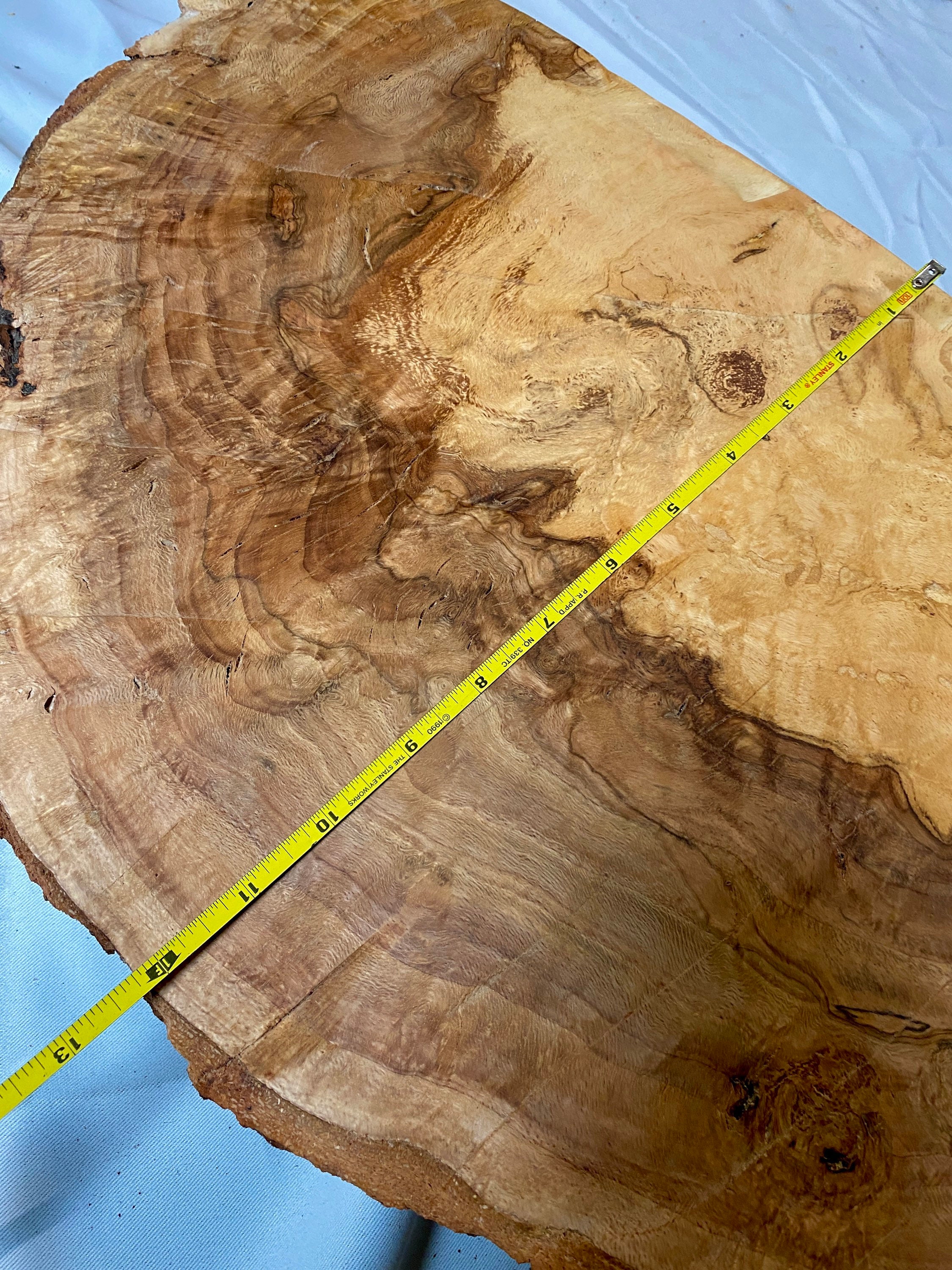 Red Oak Burl slab. Bowl Blank 18 lbs. solid piece Etsy