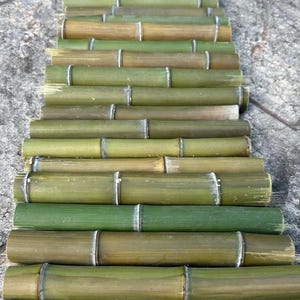 Bamboo Poles Set of Four 11 inch Organic Bamboo