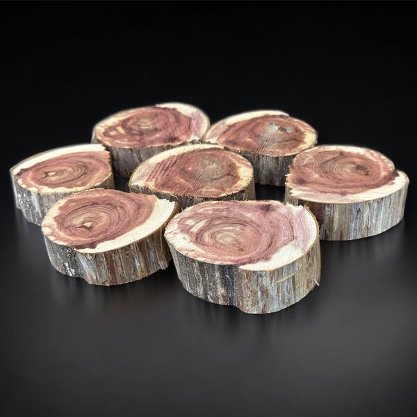 Irregular Wood Slice - Etsy