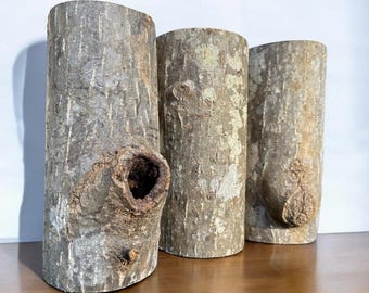 Tulip Poplar Miniature Logs Set