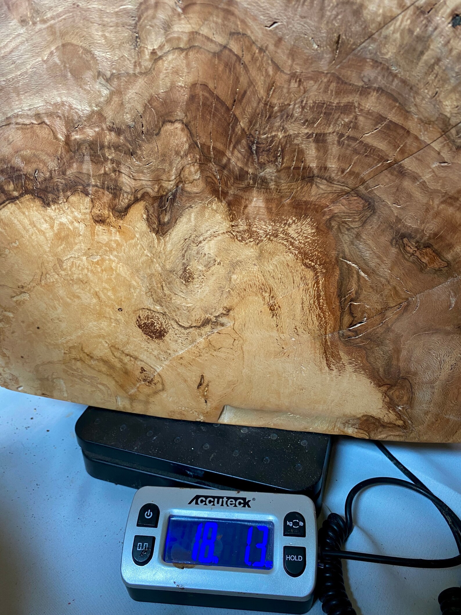 Red Oak Burl slab. Bowl Blank 18 lbs. solid piece Etsy