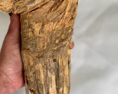 Pine Knot Wood Carving Blank Wood Spirit