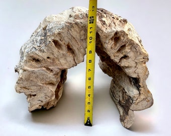 Unique Half Log Reptile Hide Cave