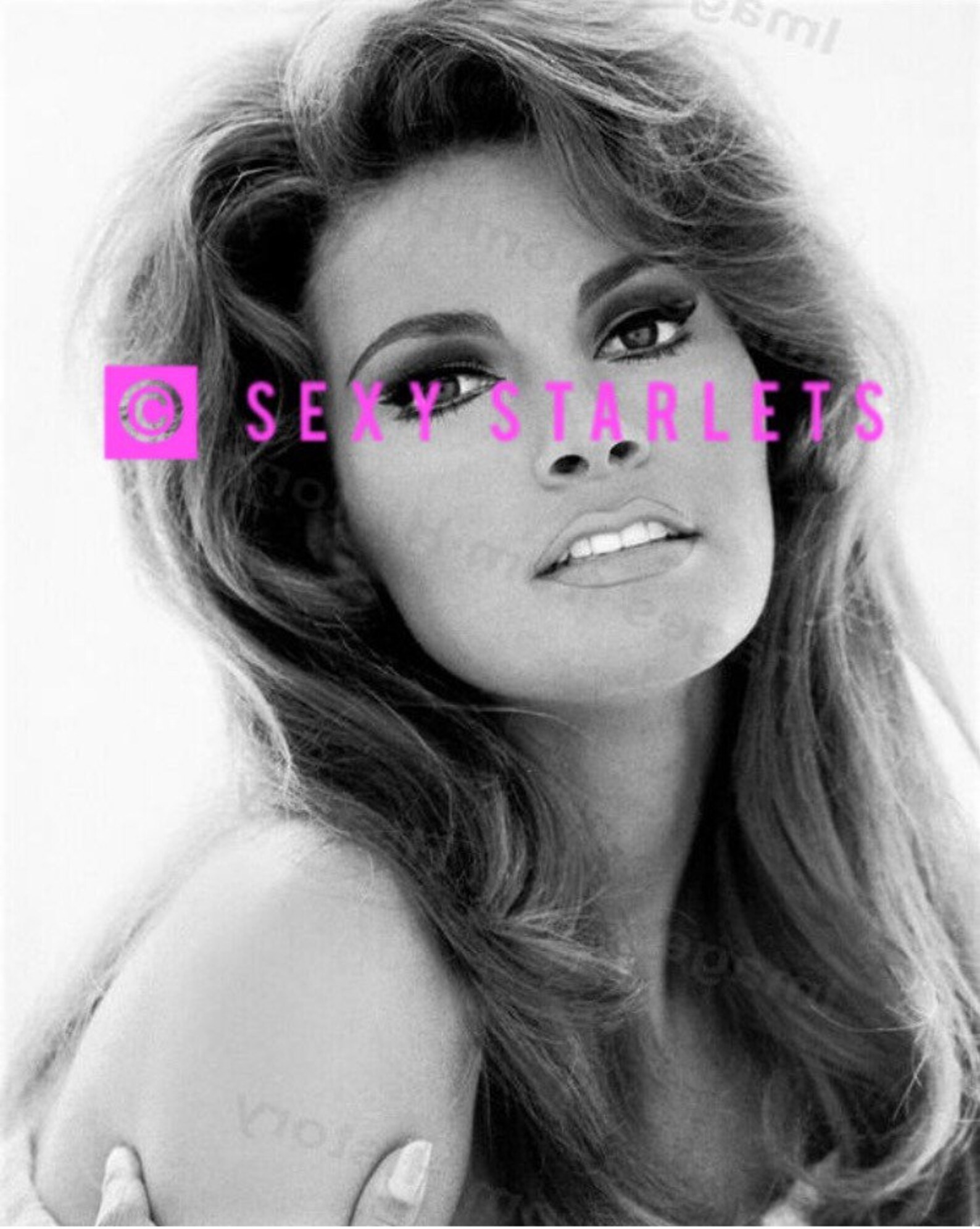 Raquel Welch Dimensions