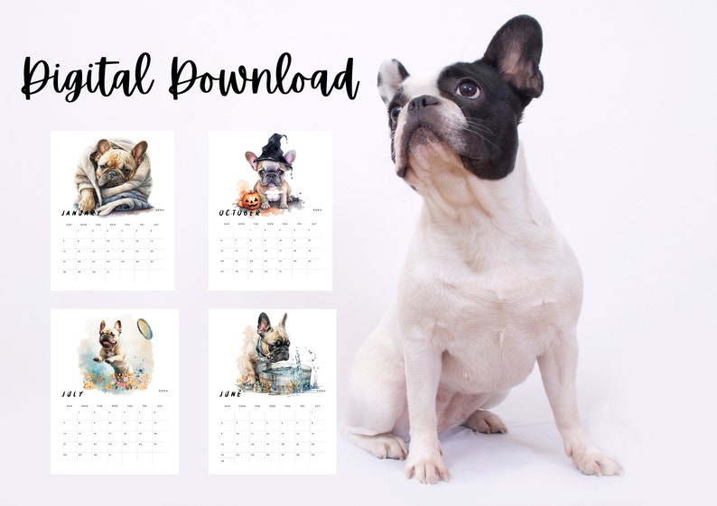 Printable French Bulldog Calendar 2024 Dog Breed Calendar Etsy