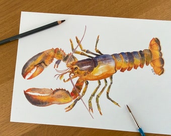 Lobster / Art Gift / Housewarming gift / Kitchen Art Print / A4 / Wall Art / Illustration / Home Decor / Food Print / Watercolour