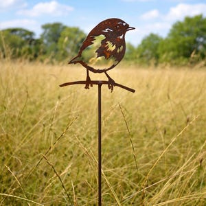 Rusty Metal Robin bird