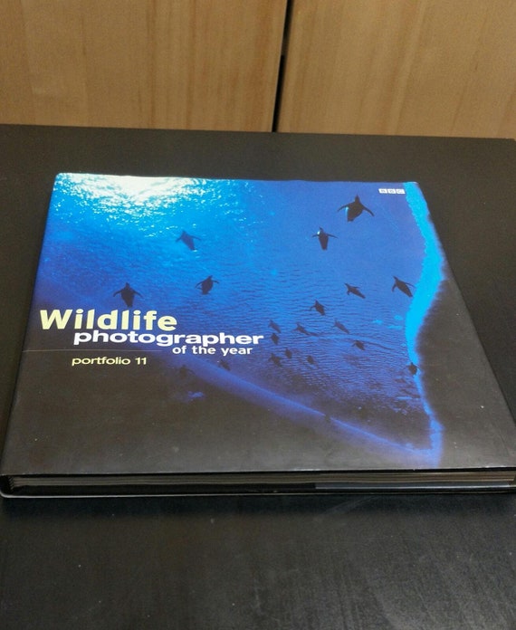 Wildlife Photographer of the Year: Portfolio 11 by Chris Packham Hardback Ebury Publishing