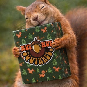 nut nut Squirrel! -Fun Card Game for Kids & Families. Outsmart Your Opponents and Keep Those Squirrels from Stealing Your Stash!