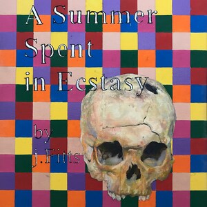 May include: A book cover with a colorful checkered background and a human skull in the lower right corner. The title is "A Summer Spent in Ecstasy" by J. Fitts.