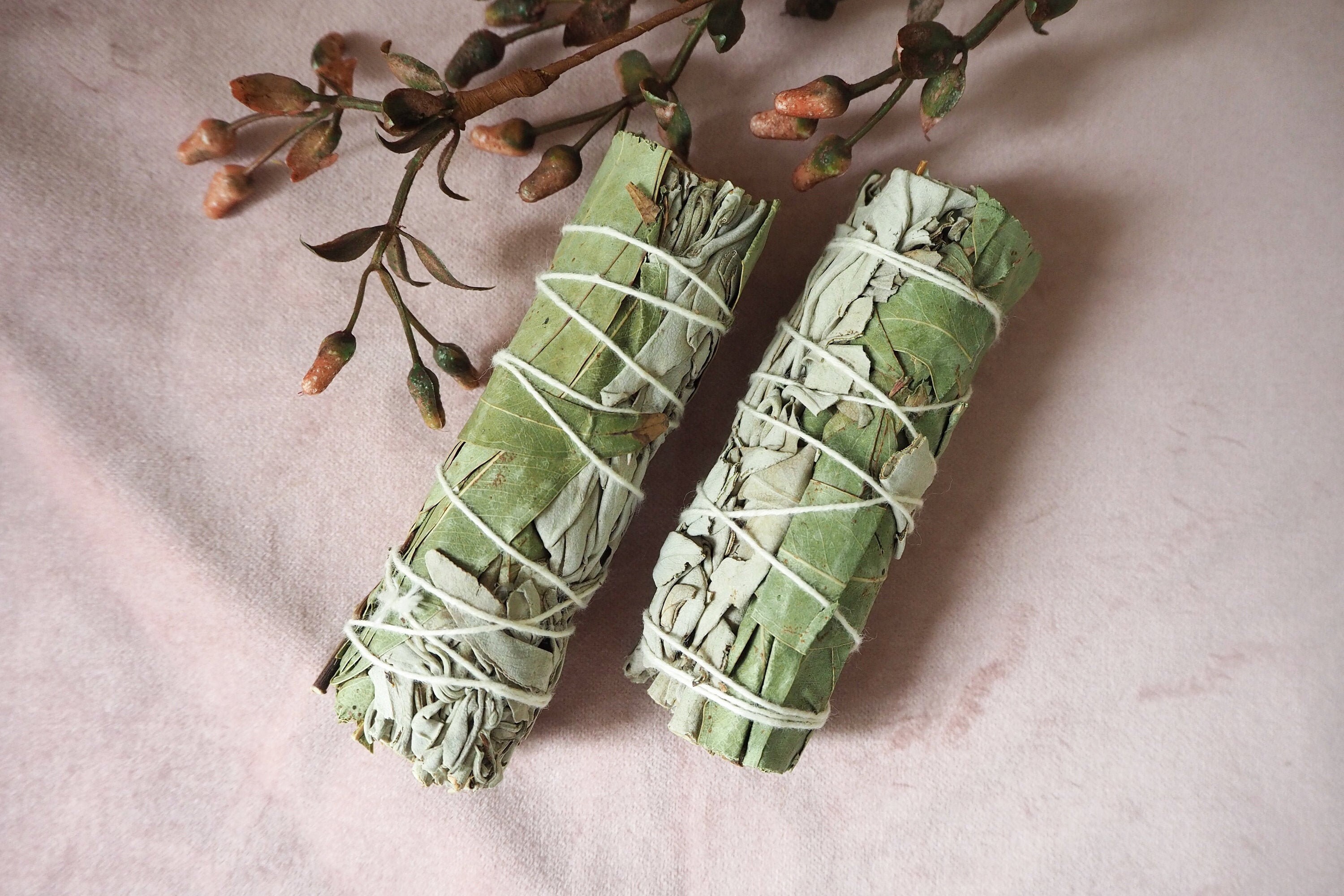 White Sage and Eucalyptus Smudge Stick Smudge Sticks Sage Etsy