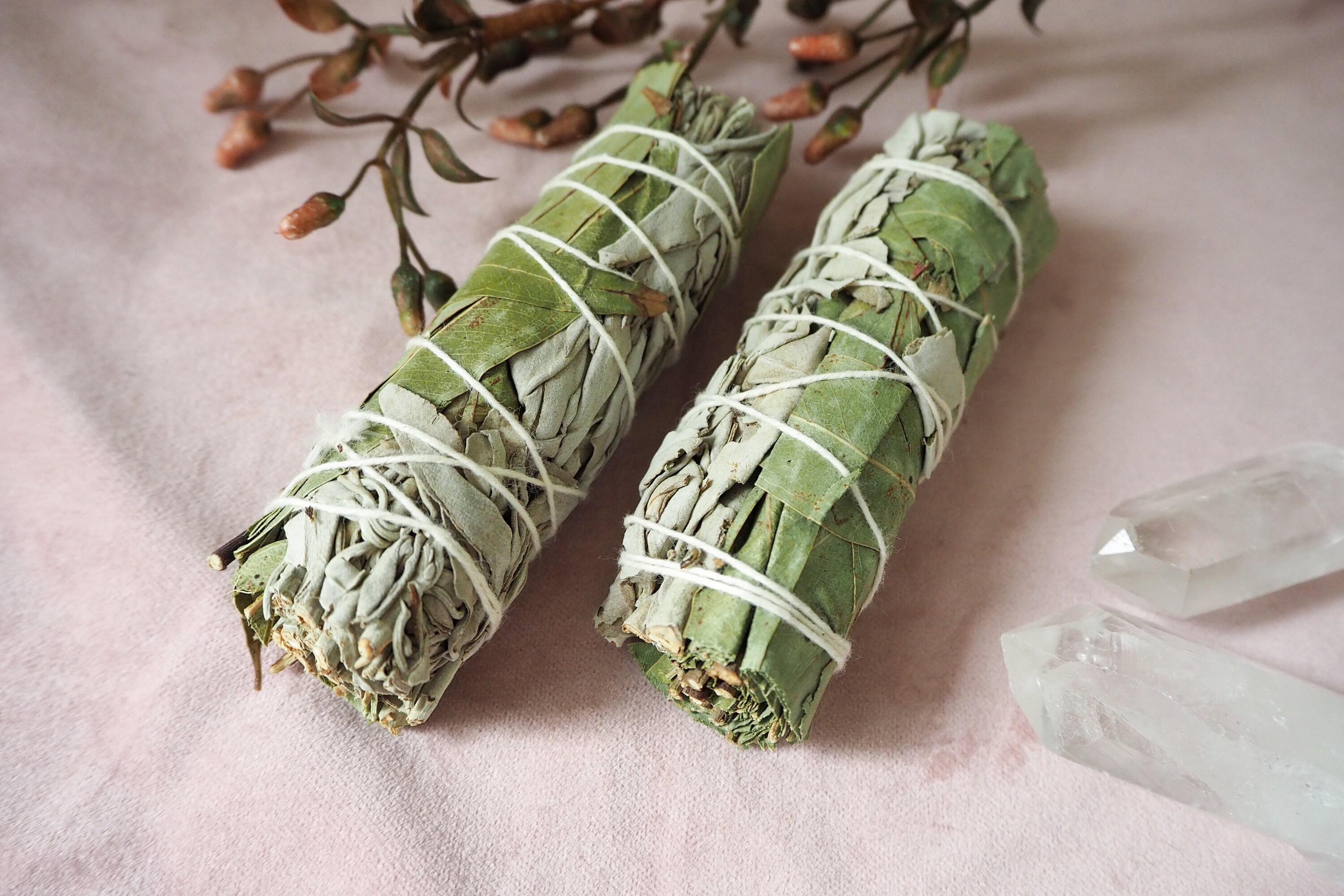 White Sage and Eucalyptus Smudge Stick Smudge Sticks Sage Etsy