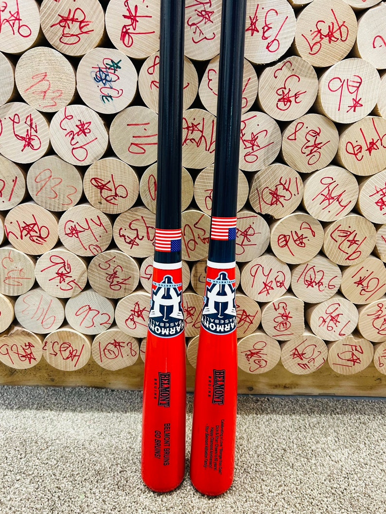 Fungo Custom Coachs Bat Etsy