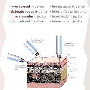 Medication Administration: Injections - Etsy