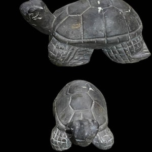 Unique Ancient roman bronze Turtle Statue