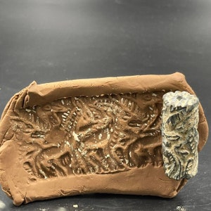 Antiquity bactrain Stone Ancient Sasnian Dynasty Ancient Intaglio Cylinder Seal Stamp Bead