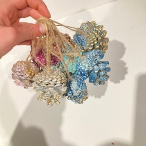 Kiefernzapfen Ornamente