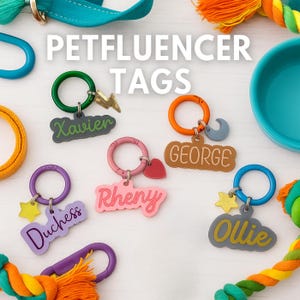 Custom pet tag. Acrylic Pet Tag with Name & Charm – Personalized Pet Tag, Cute Cat Tag, Quiet Pet Tag, Tag for Collar. Dog tag. Dog gifts