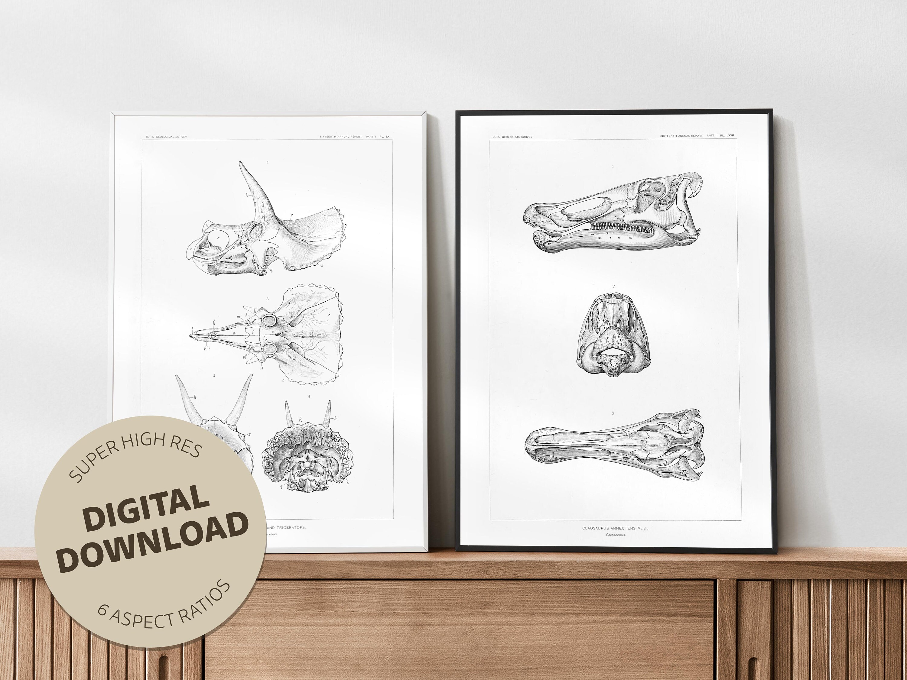Jurassic Park inspired wall art digital download. Dinosaur theme room decor. Digital paleontology art. Dinosaur and fossil poster.