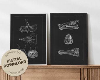 Jurassic Park inspired vintage dinosaur prints (chalkboard). Digital paleontology art. Dinosaur and fossil poster.