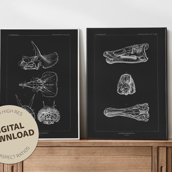 Jurassic Park inspired vintage dinosaur prints (chalkboard). Digital paleontology art. Dinosaur and fossil poster.