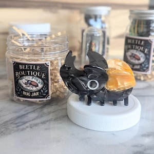 Rhinoceros Beetle. Giant Stag Beetle Hair Clip. Fun Hair Claw Clip. Fun Hair Clips. Hair Accessories. Giant Beetle. Oddities and curiosities