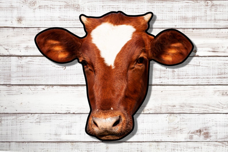 Farm Animal Cow Head Color Cutouts Metal Cow Farm Decor Etsy