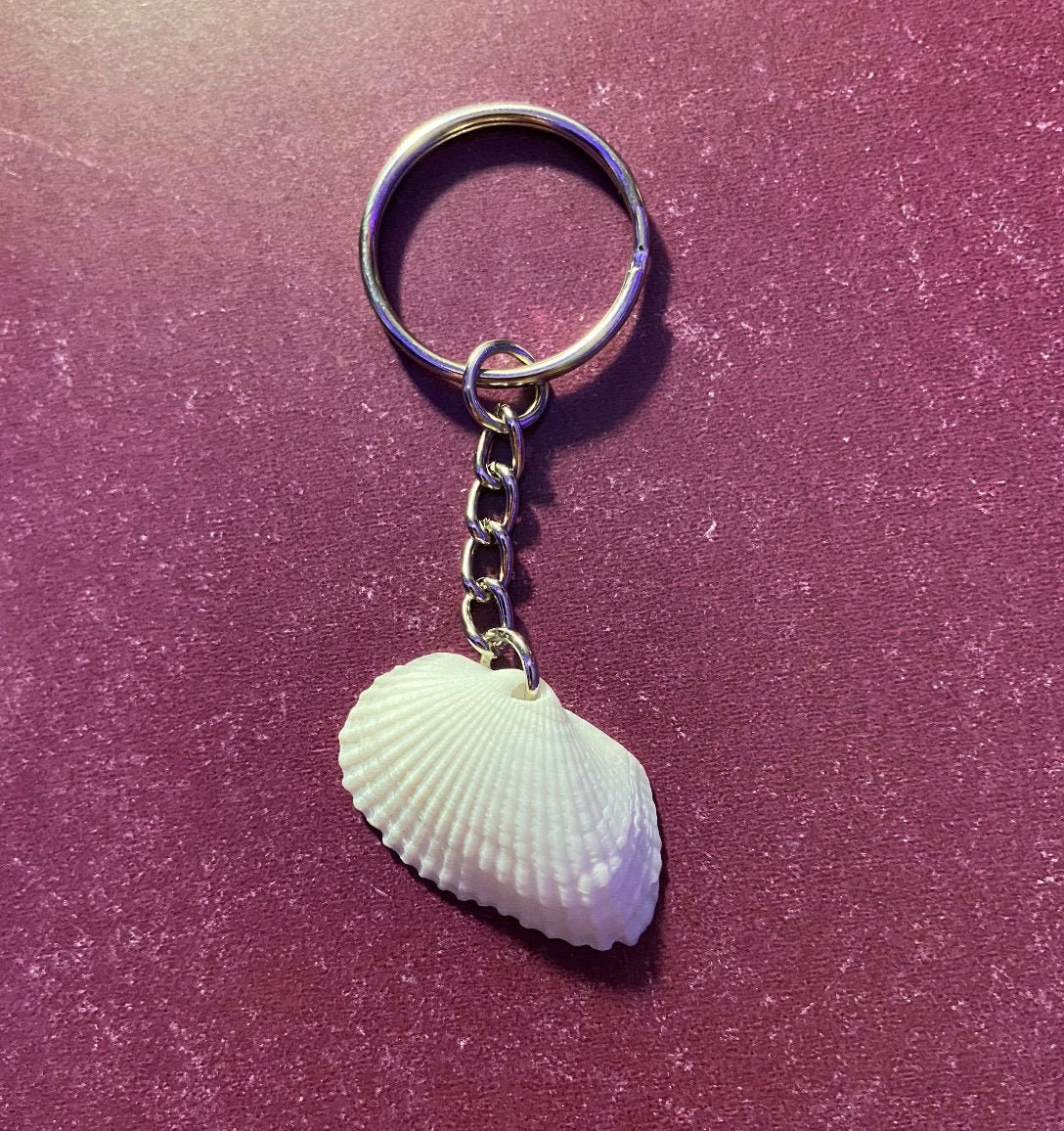 Hand Selected Sea Shell Keychains Etsy
