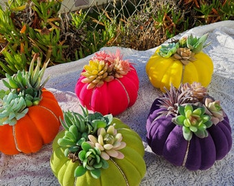 Flocked pumpkins- Faux Succulent Pumpkins- Rhinestone Pumpkins- Thanksgiving pumpkin centerpiece- succulents for fall- autumnal centerpeice