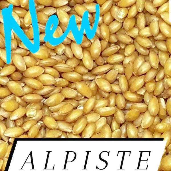 SKINLESS (Dehulled) Canary Seed Alpiste Silica Fiber Free Hairless Choose size