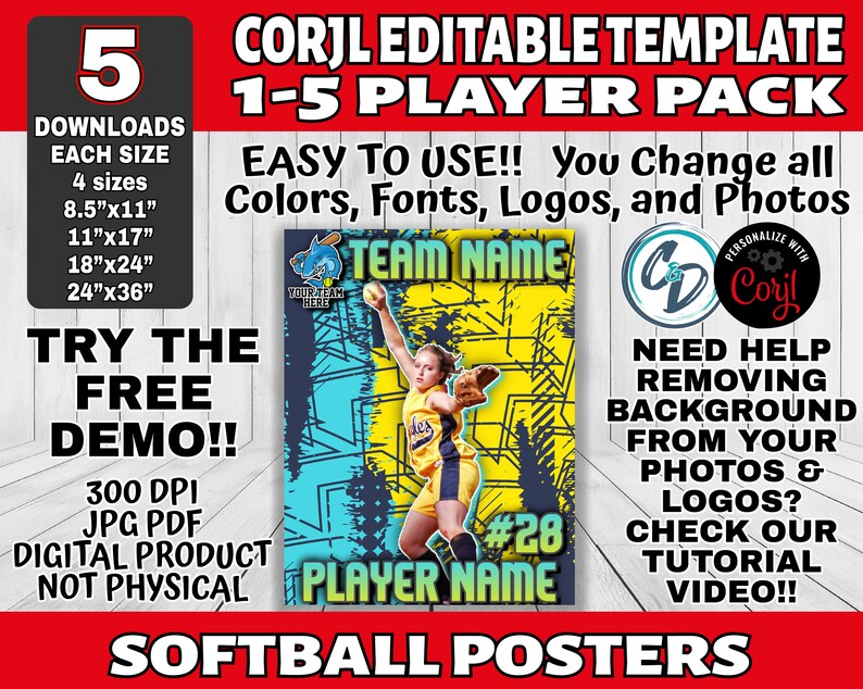 EDITABLE and PRINTABLE Softball Poster Template Custom Sports - Etsy