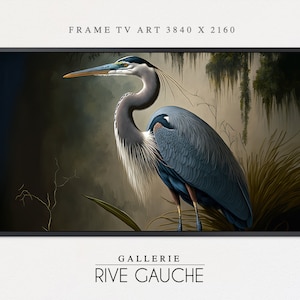 Samsung Frame TV Art • Louisiana Heron Oil Painting • Samsung Art TV •  Bird • Nature • Instant Download • Frame TV  • V3