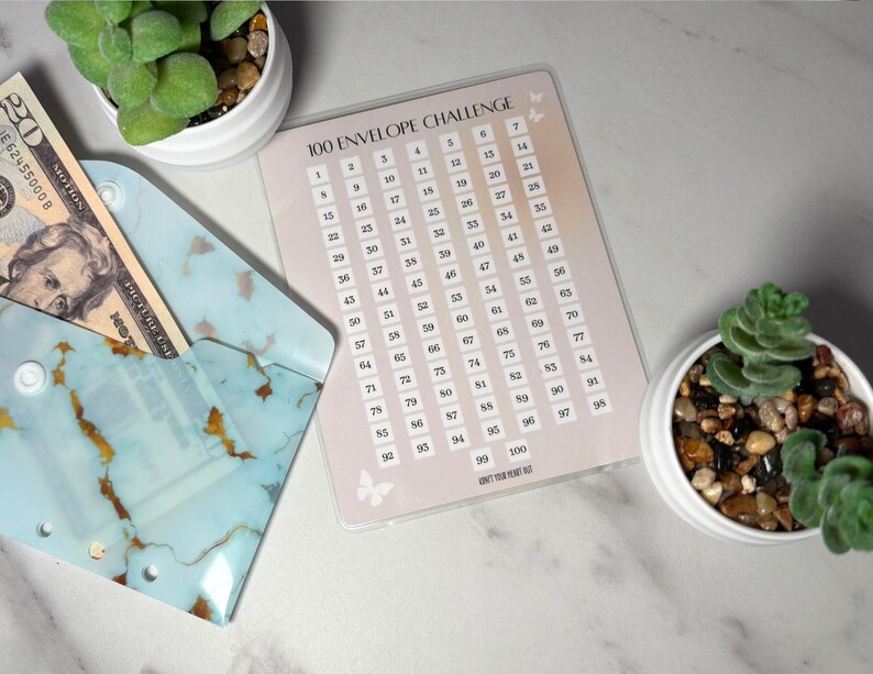 Laminated 100 Envelope Savings Challenge | Monthly Budget - Etsy