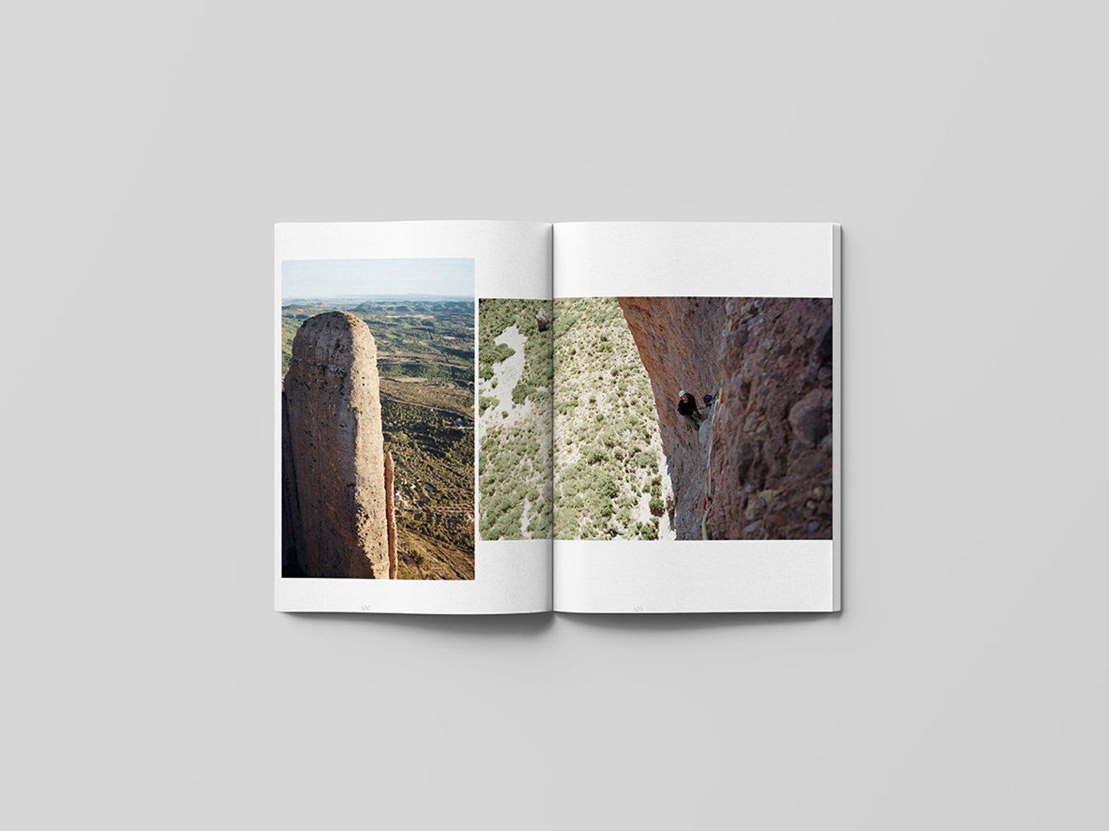 WILD FIGS MAGAZINE Etsy